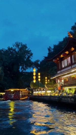 见贤思齐焉，见不贤而内自省也#夫子庙 #夜景很美