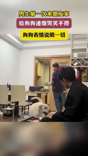 下次记得给狗狗带点好吃的#家有狗子 #递烟