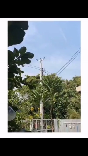 这次它真的怒了#飞天遁地 #地爆天星