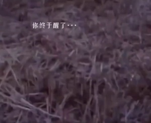 “你现在长大后的样子，这不是你时候，梦寐以求的长大吗，你怎么不笑了…#童年记忆 #乡愁回忆