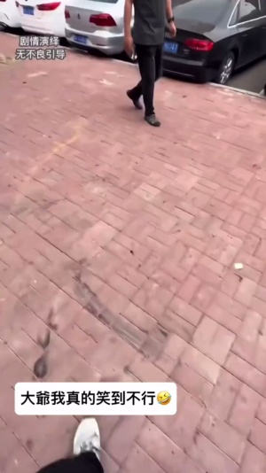 大爷的心脏病都要出来了#大爷就是你大爷 #狂犬病