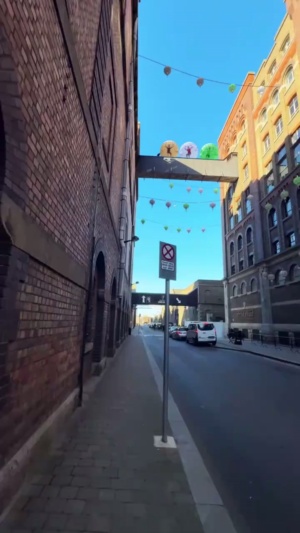 这世界不过就是个游乐场，大胆一些，别浪费了这张门票哦#旅行大玩家 #老外真会玩