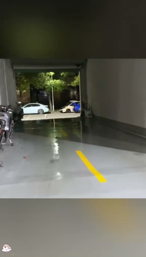 措不及防的搞笑狗子哈哈哈 #毛孩子的日常 #狗子搞笑行为