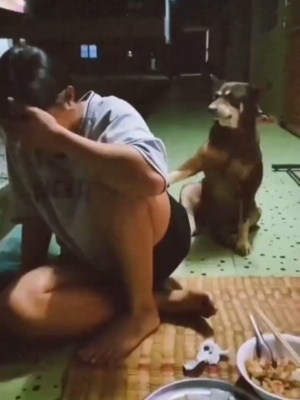 原来狗子嬉皮笑脸的只是想吃块肉而已#笑死人不偿命系列 #狗子搞笑行为