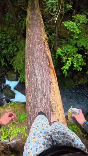 电影都不敢这么拍.#悬崖跳水 #极限运动