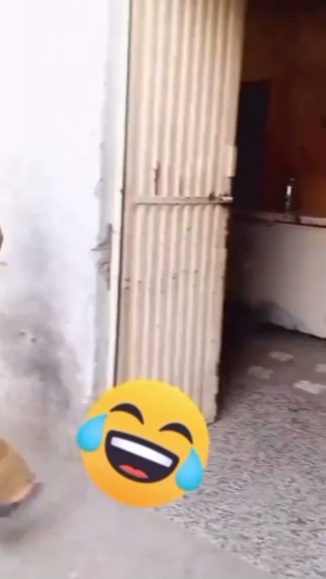 今天天气不错，睡一觉吧#神操作 #每天一笑烦恼忘掉