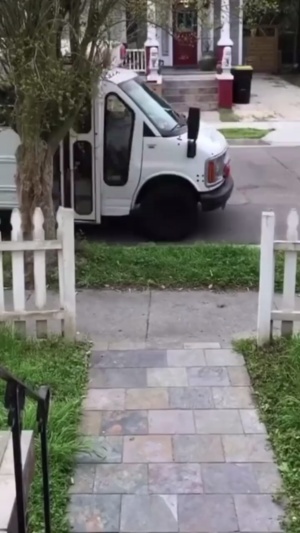 国外的狗狗去日托班上幼儿园啦，校车包接包送，这学我也想去上...#狗狗校园 #狗狗生活