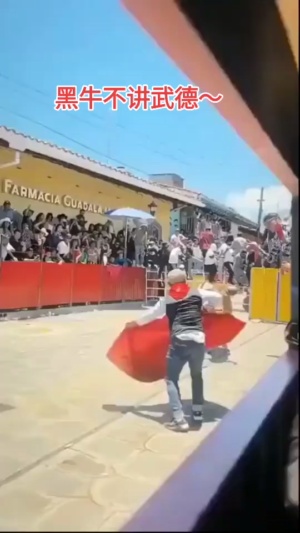 黑牛：它真的很勇#斗牛出事 #斗牛现场