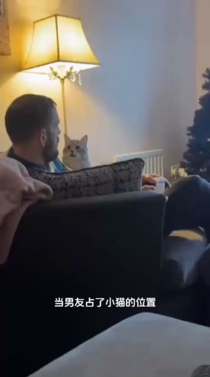 猫：不长眼？我这么好的风水宝地，你想坐就坐的#修猫