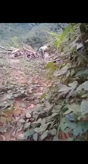 吓一下朋友，差点给送走#最佳损友