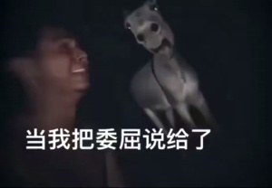 当我把委屈说给了驴听，它哭了#迷惑行为