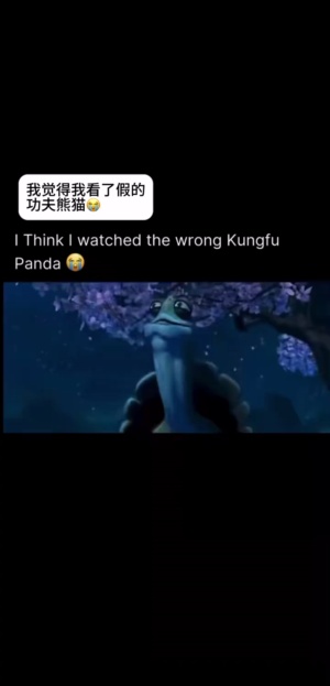 疑似野史记载过的局外情#功夫熊猫 #搞笑视频