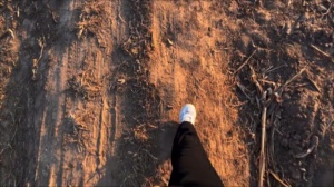 其实选错了就选错了，别总是去责怪曾经的自己，那时候的你也很迷茫啊#乡野田间