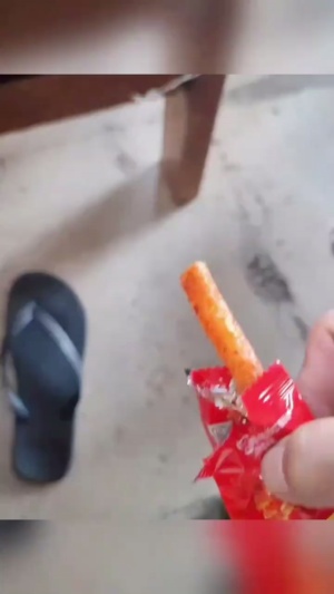 狗子吃辣条：就是这个味道#狗子吃辣条